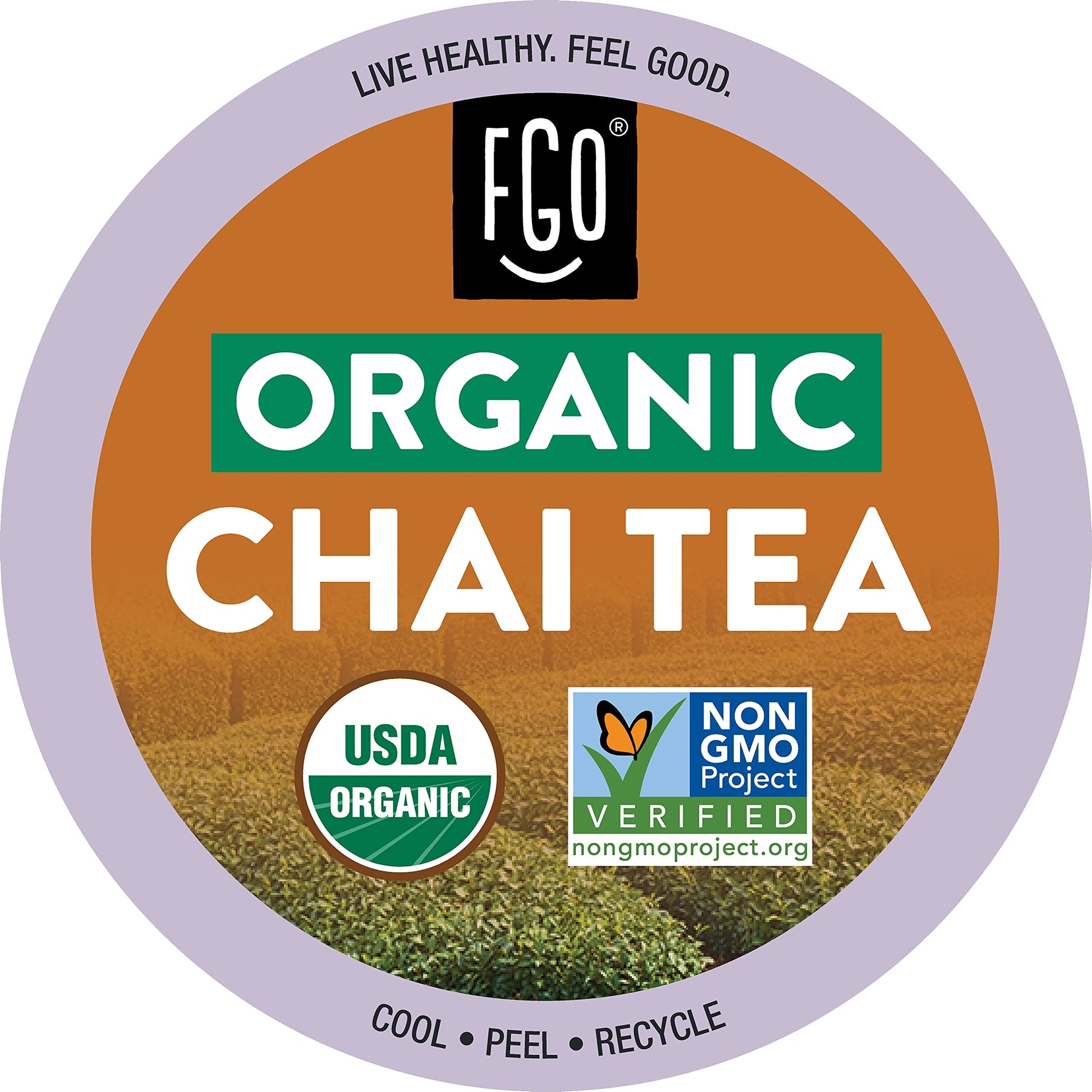 FGO Organic Chai Black Tea K-Cup Pods, 24 Count, USDA Organic, Non-GMO, Premium Black Tea with Chai Spice