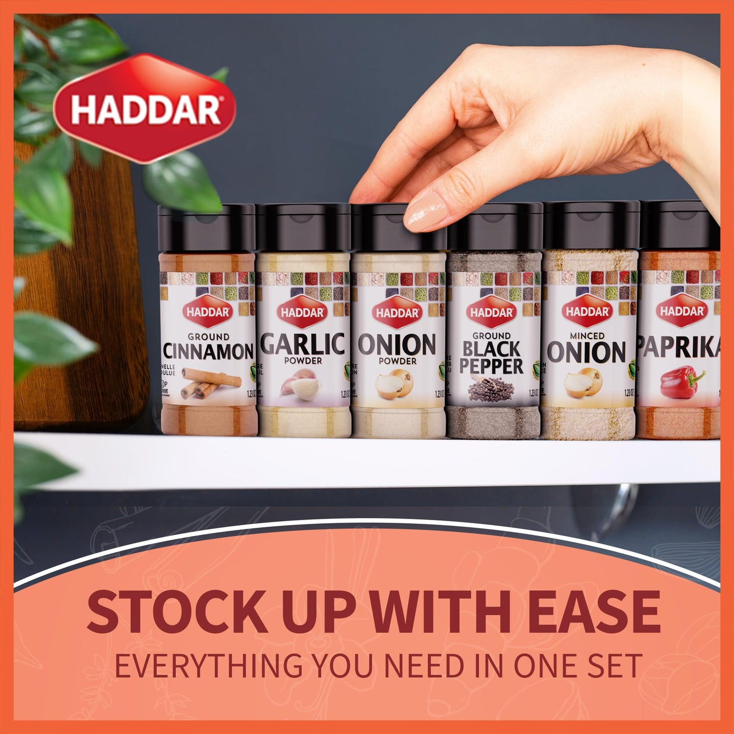 Haddar Passover Spice Set, 6 Essential Spices, 1.23 Oz | Garlic Powder, Onion Powder, Paprika, Ground Black Pepper, Ground Cinna