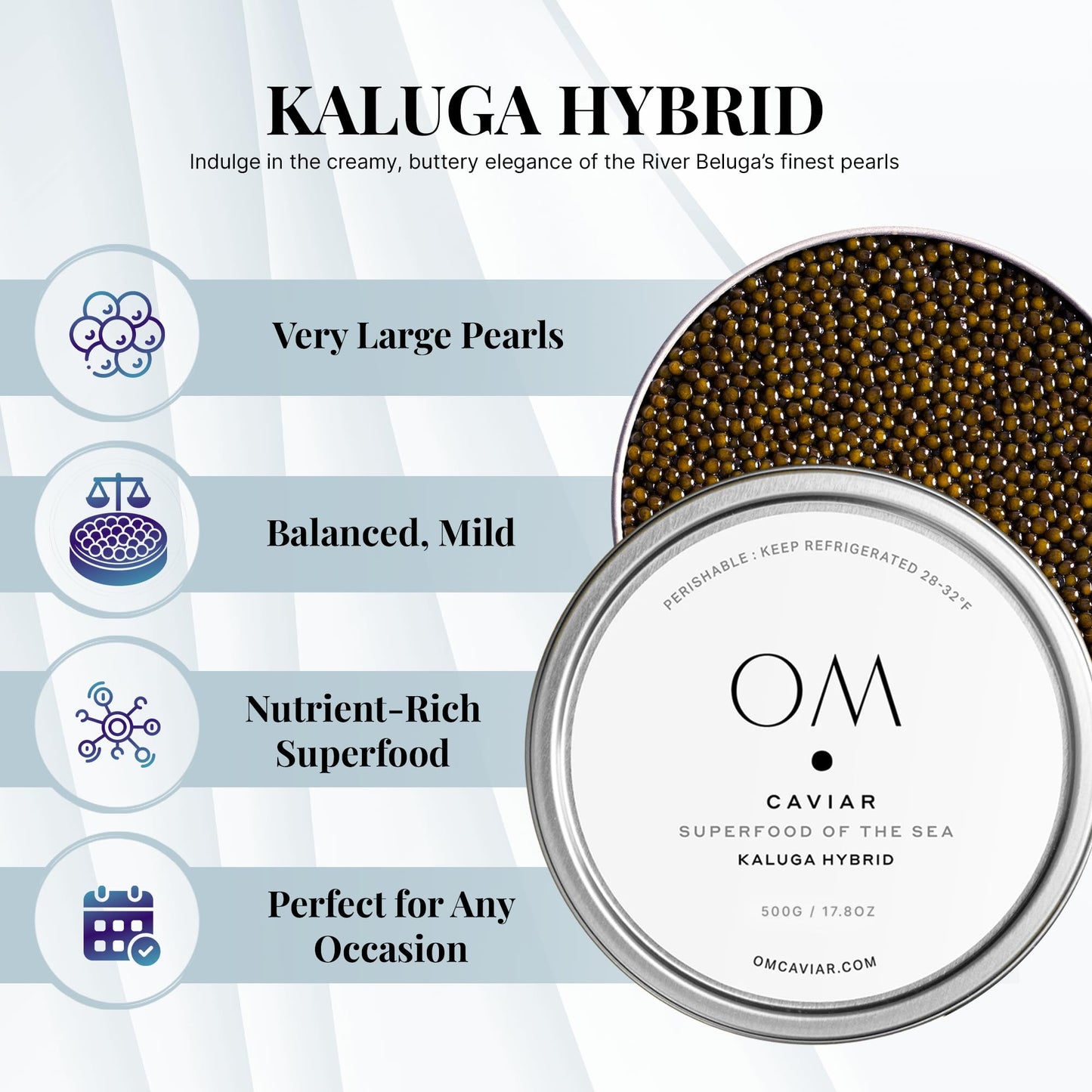 OM Caviar Kaluga Hybrid Caviar 500g - Sustainable River Beluga Alternative - enhanced Large Grain - Rich Buttery Flavor - Farm-Raised Caviar Kaluga  Vacuum-Sealed Fresh