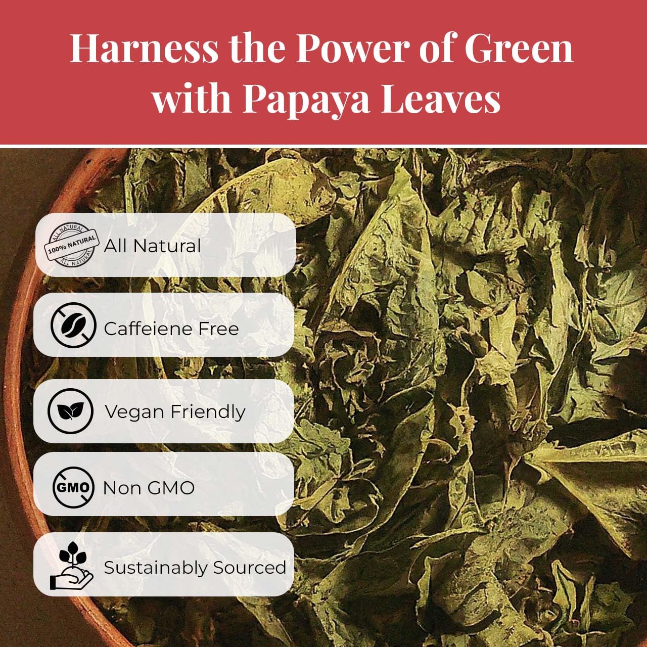 Akshit Organic Papaya Leaves Tea, 5.2 oz, Dried Fresh Green Papaya Leaf, Caffeine-Free, Sugar-Free, Pack of 2