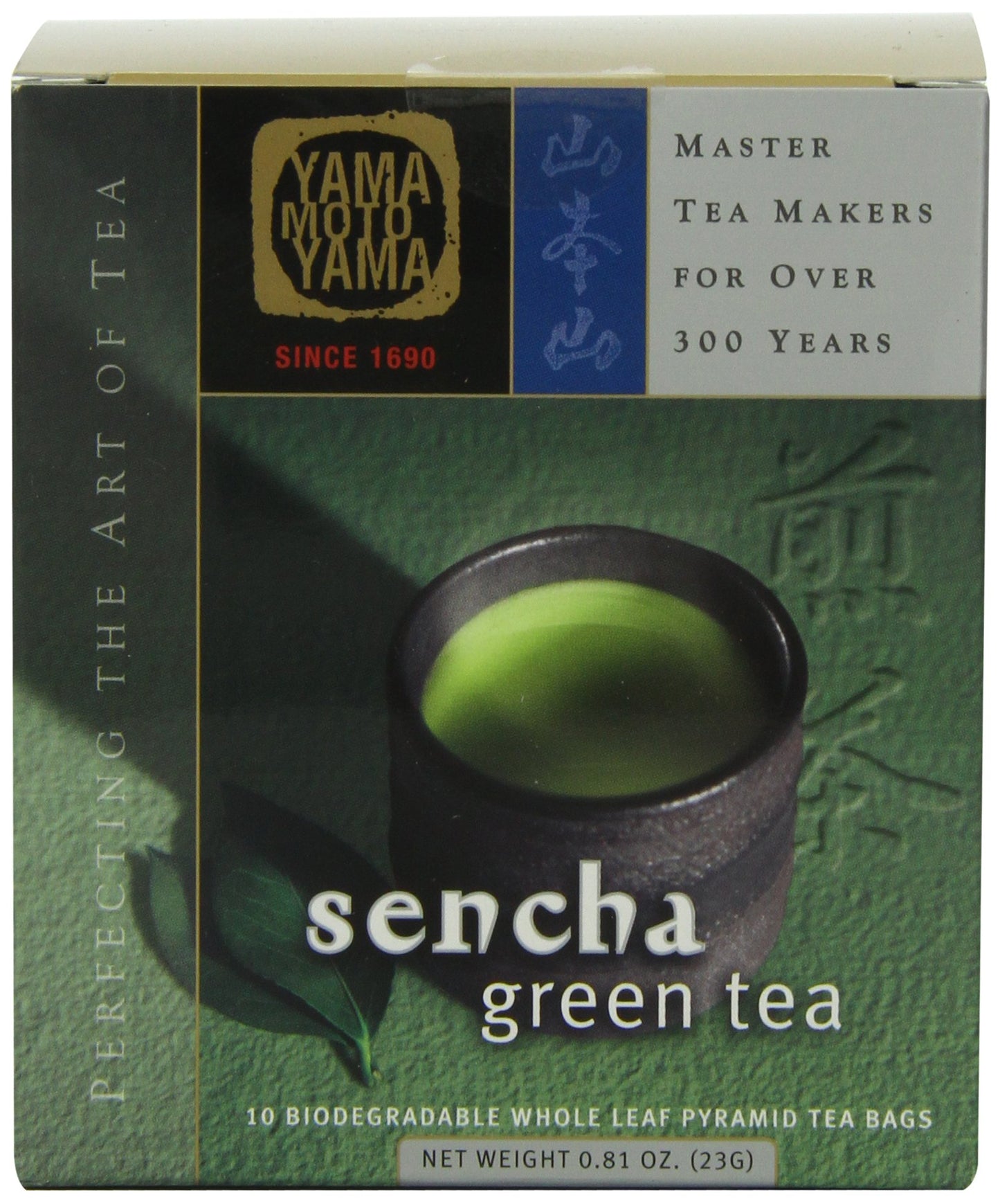 Yamamotoyama Sencha Pyramid Green Tea Bag, 10 Ct. Box