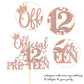 YCTHUNFISH 12th Birthday Cake Topper Glitter Cheers to 12 Years Old, Rose Gold, 6.1x8.6 inches