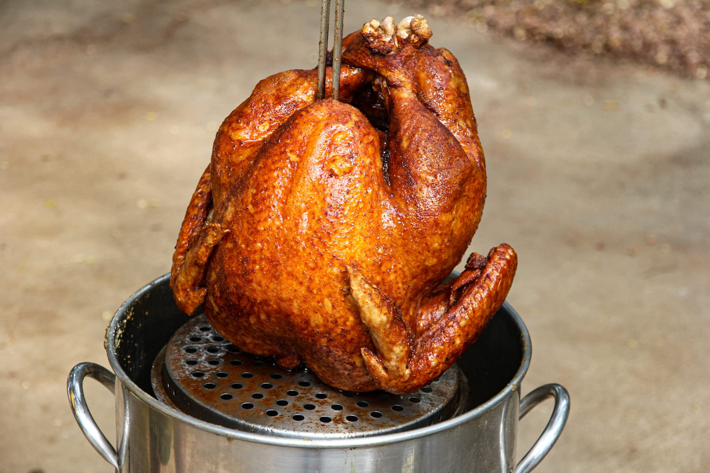 Hardcore Carnivore Limited Edition Fried Turkey Seasoning (11 oz Shaker) Texas-Made Blend for Turkey  Chicken Wings  Pot Pie and More
