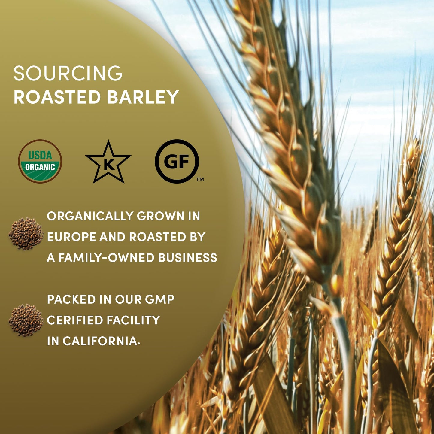 Worldwide Botanicals Organic Barley Dark Roast Coffee Alternative, 1 lb, Gluten Free, Acid Free, Ground