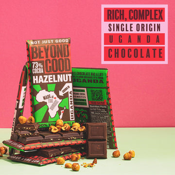 Beyond Good Dark Chocolate Toasted Hazelnut Bar  2.64 Oz