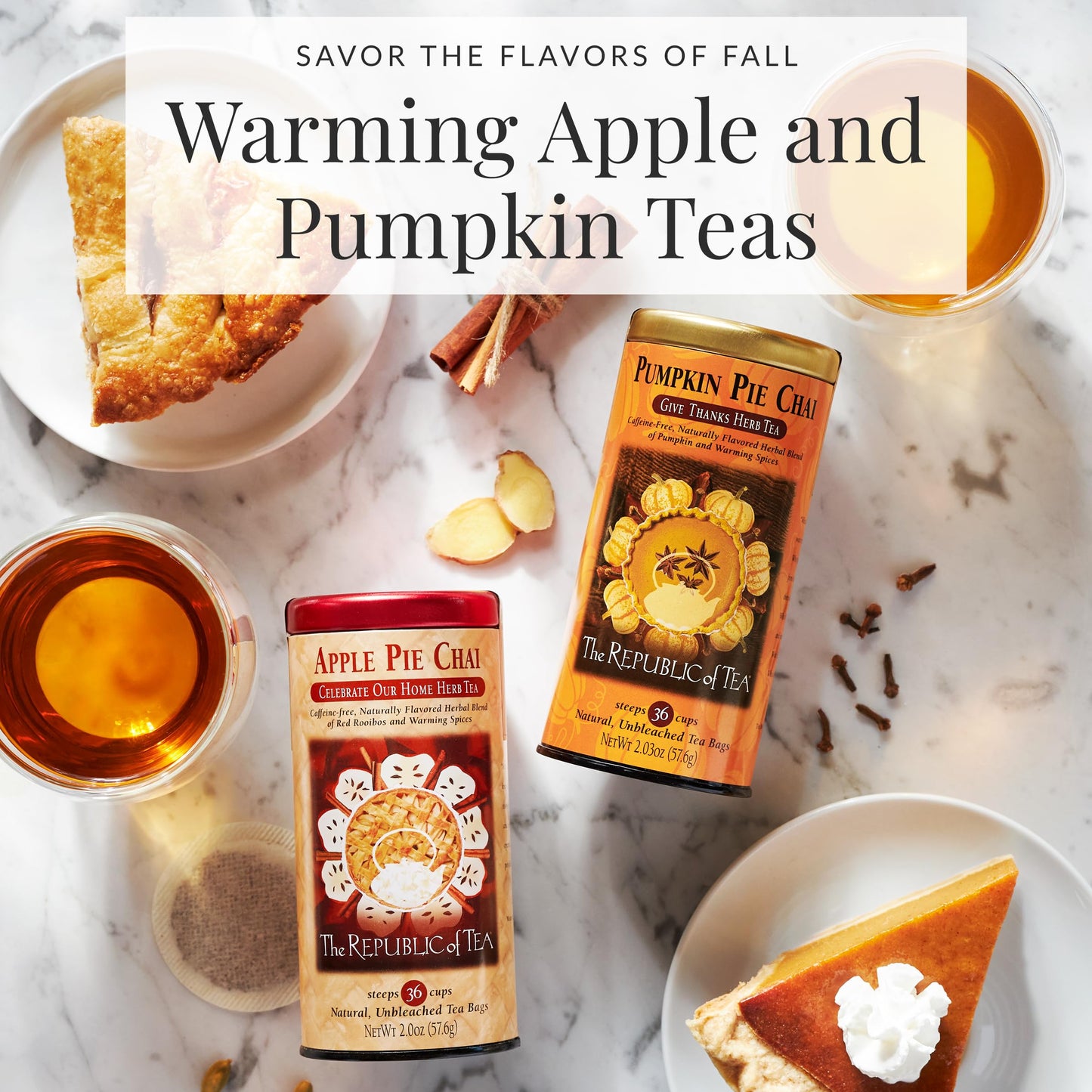 The Republic of Tea Pumpkin Spice Black Tea Concentrate, 8 fl oz - 16 Servings