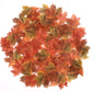 Weraru Edible Fall Leaves Cupcake Toppers, 90 Pcs, Gold Leaf Paper Decorations for Parties