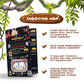 Bubsooboos Wild Snacks Midi International Snack Box, 12 Piece Set, Fairy Tale Themed, Variety Pack of Unique  , Midi Black