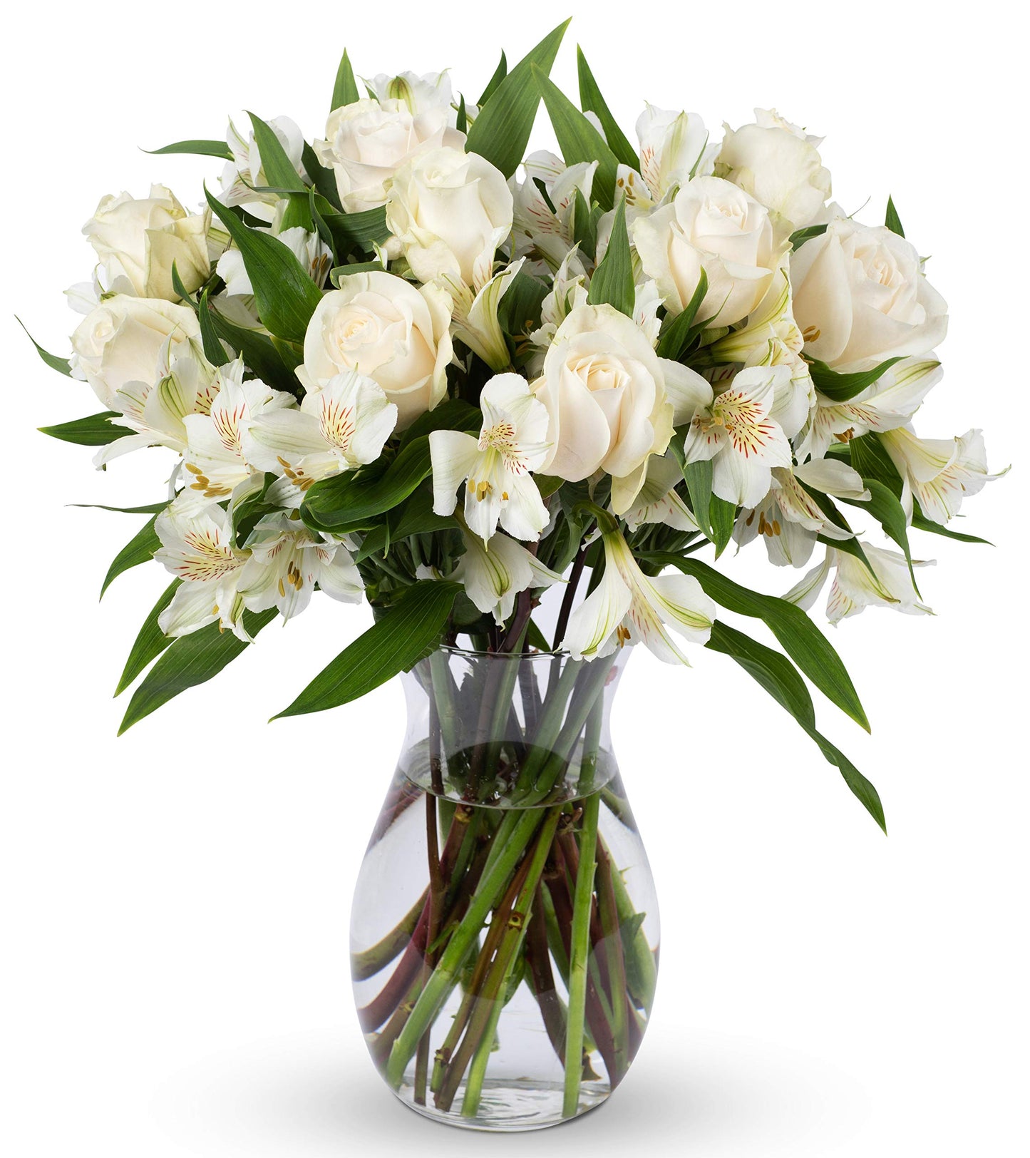 Benchmark Bouquets | Elegance Roses Bouquet, Prime Delivery, Free Vase, Farm Direct Fresh Flowers, Gift For Anniversary, Birthda
