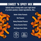 Kars Nuts Variety Pack Trail Mix Snacks - Sweet N Spicy Mix, Yogurt Apple Nut, Mango Pineapple Mix, Individual Packs (Pack Of 24