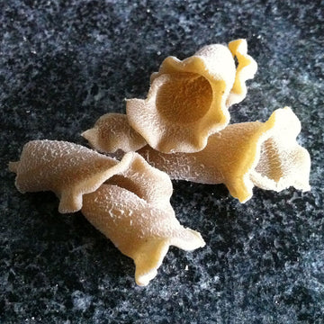 Sfoglini-Porcini Trumpets-Made With Traditional Techniques & Wholesome Organic Grain With An Earthy Mushroom Flavor-6-16Oz Boxes