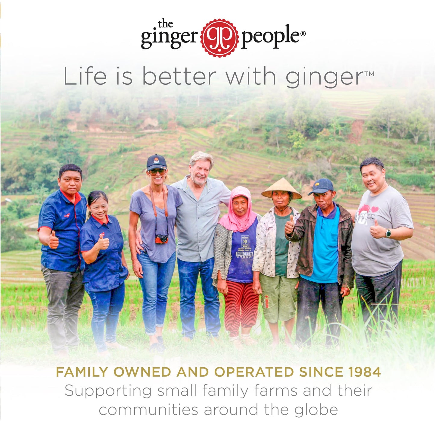The Ginger People GIN GINS Lemon Ginger Chews - Natural Candy - 3 oz Bag - Pack of 1 - Individually Wrapped