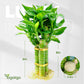3 Stalks Lucky Bamboo Plants Indoor Live - Multi-Height Set (2x6 & 1x8   ) for Good Luck & Prosperity - Easy Care Houseplant, Ho
