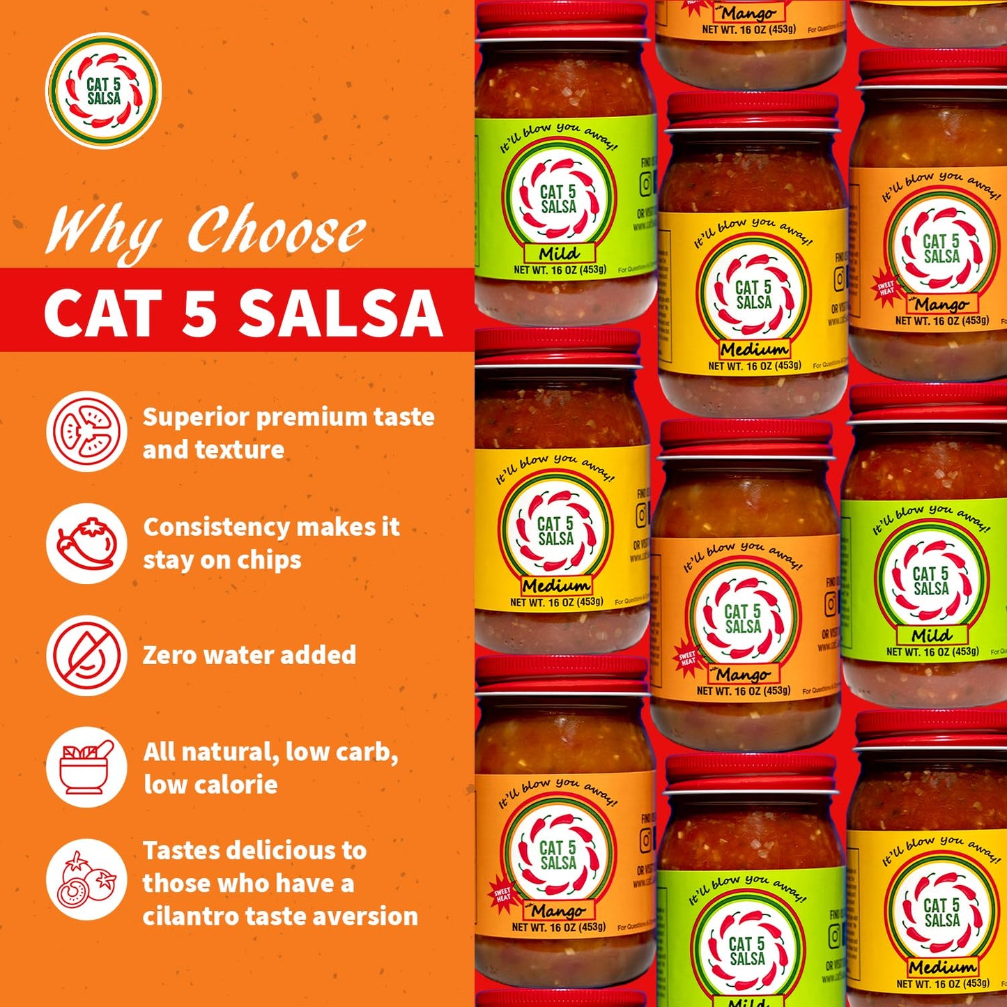 CAT 5 SALSA Mango Chili Sauce - Gourmet Salsa for Dips & Snacks - 16 oz Jar
