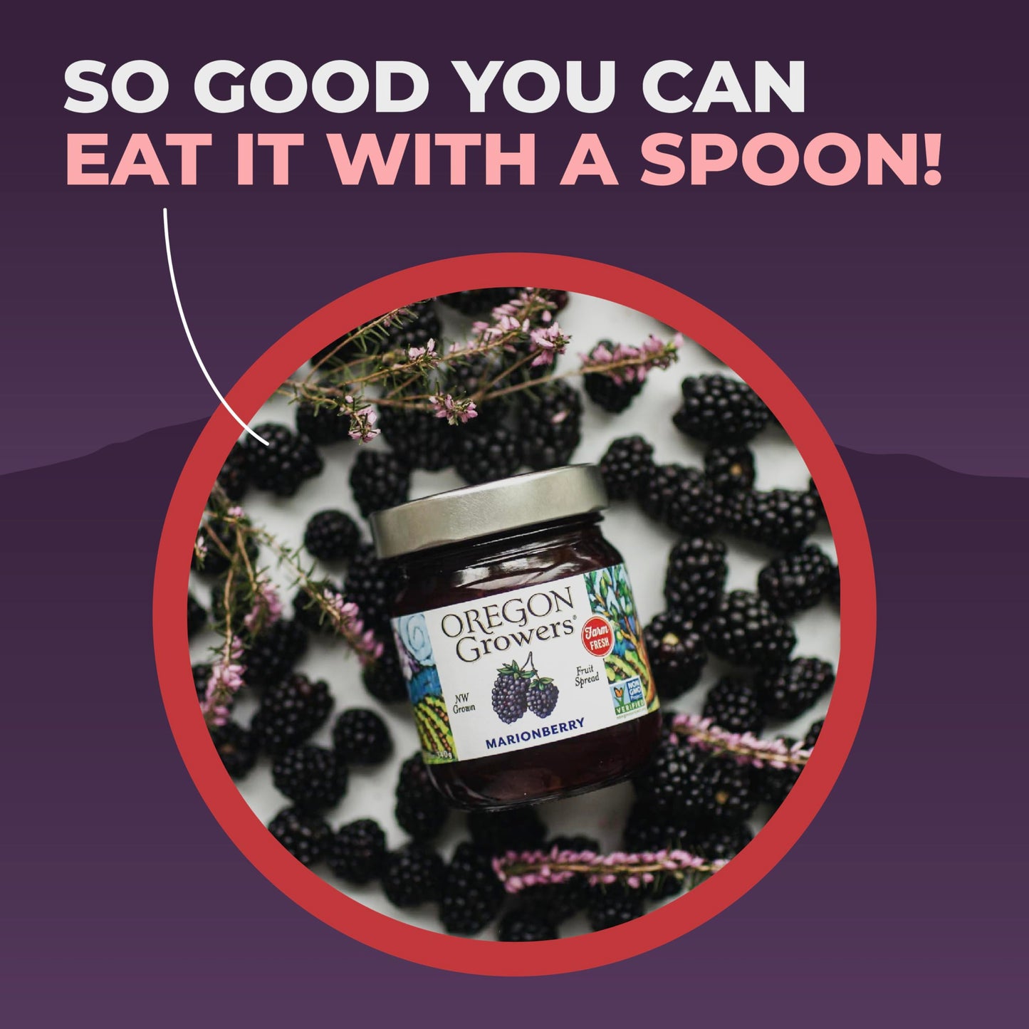 Oregon Growers Marionberry Fruit Spread - Marionberry Jam Made In Oregon, Blackberry Jam, Blackberry Fruit Spread, All Natural Ingredients, Non-Gmo - 12 Oz (Pack Of 6)