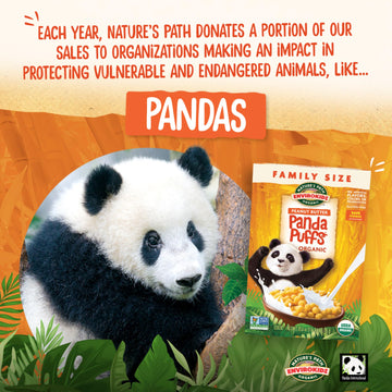 EnviroKidz Panda Puffs Organic Peanut Butter Cereal, 25.6 Ounce, Gluten Free, Non-GMO, EnviroKidz by Nature's Path