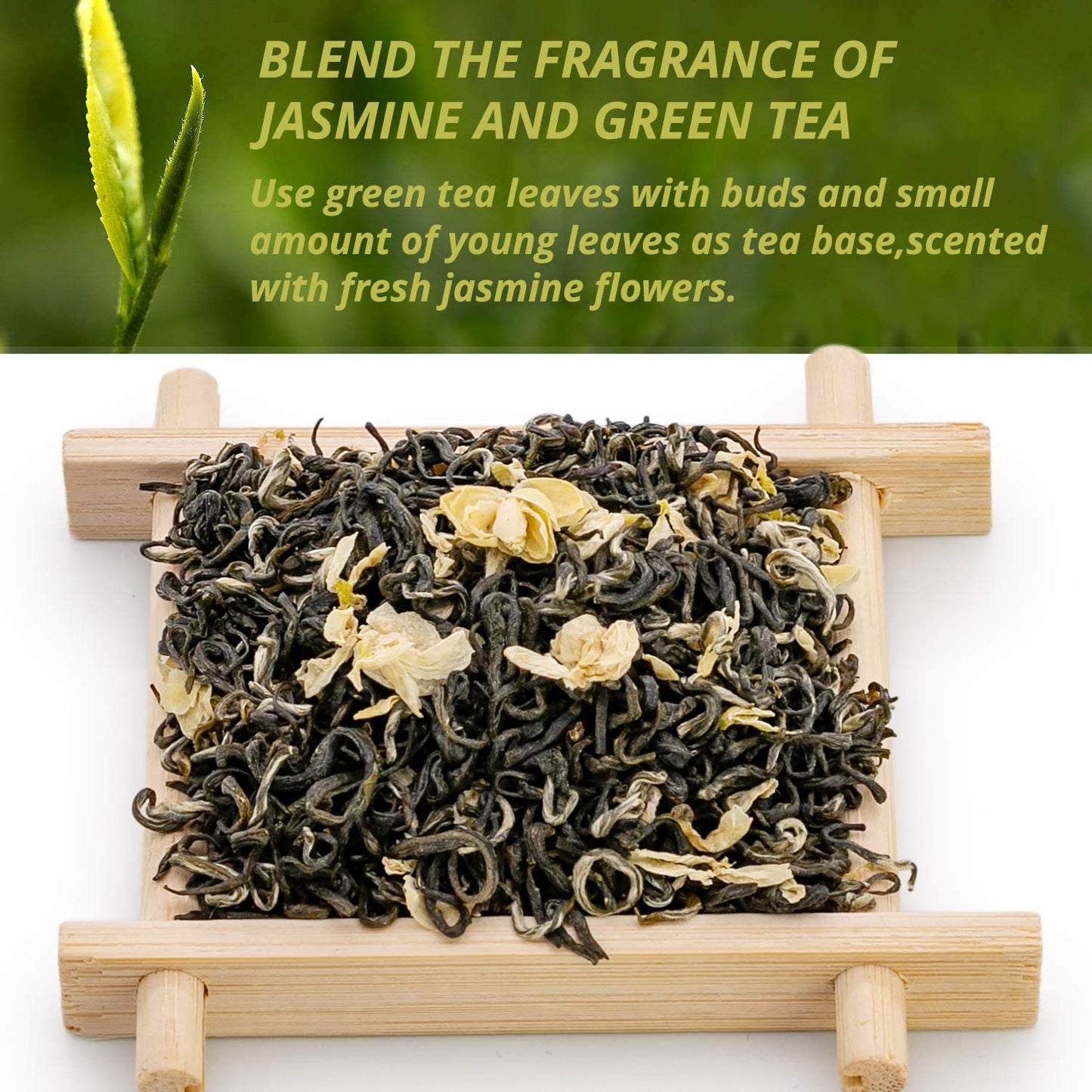 Oriarm Bi Tan Piao Xue Jasmine Green Tea Loose Leaf - Chinese Green Tea Leaves with Jasmine Flowers - Yuqian 3rd Grade - 100g (3