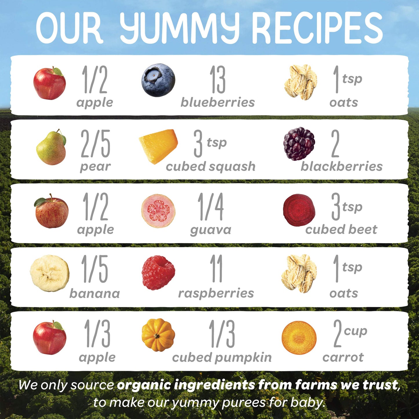 Happy Baby Organics Stage 2 Baby Food Pouches, Gluten Free, Vegan & Healthy Snack, Clearly Crafted Fruit & Veggie Puree, Fruit & Veggie Variety Pack, 4 Ounces (Pack Of 10), Large Online Retailer Limited Availability