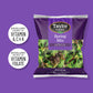 Taylor Farms Spring Mix, 5 Oz
