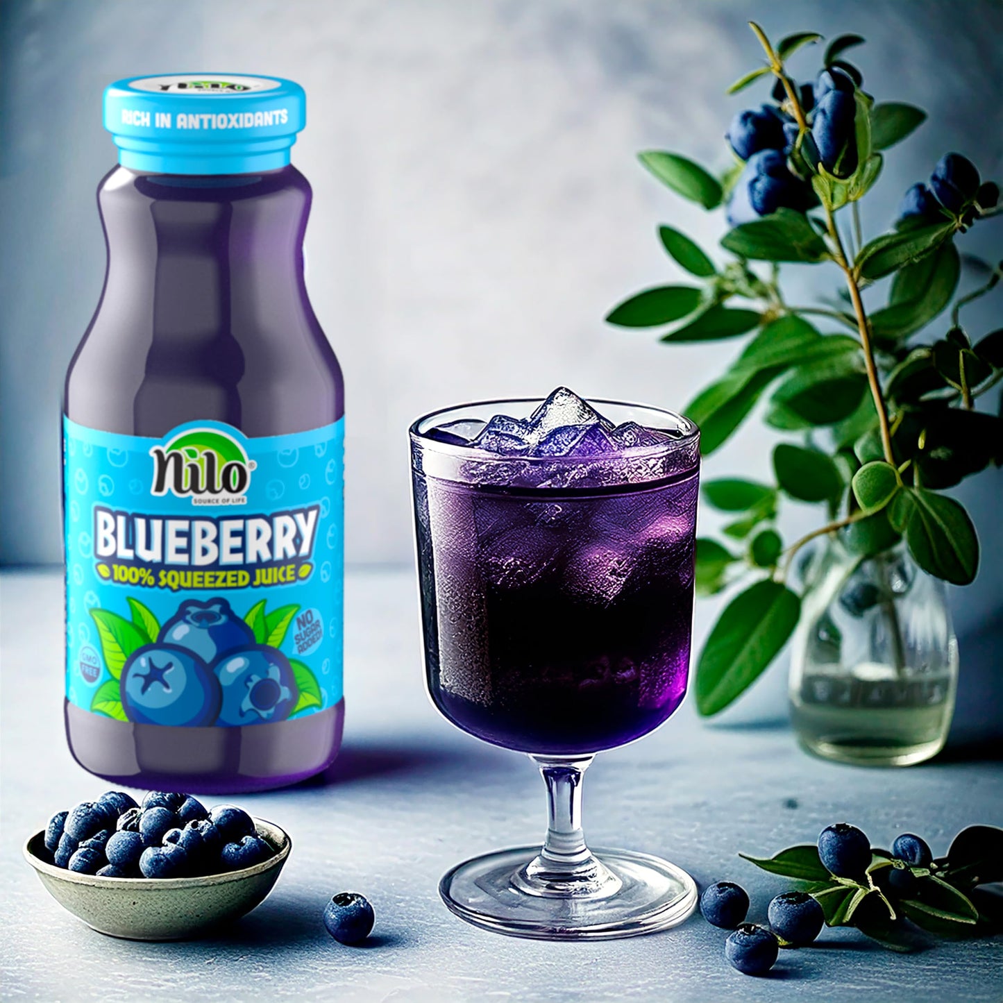 Nilo Blueberry Juice | 100% Squeezed Wild Blueberry Arandano | No Sugar Added | Non Gmo | Not From Concentrate | 8.45 Oz (Pack O
