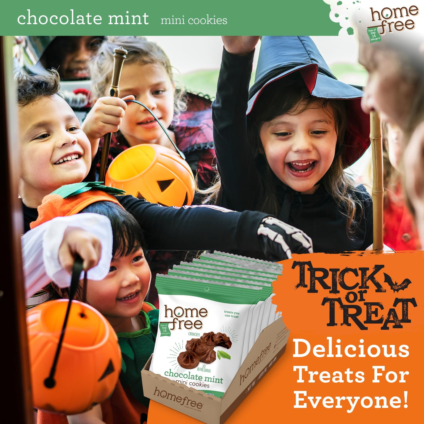 Homefree Treats You Can Trust Gluten Free Mini Cookies, Single Serve, Chocolate Mint, 0.95 Ounce (Pack Of 10)