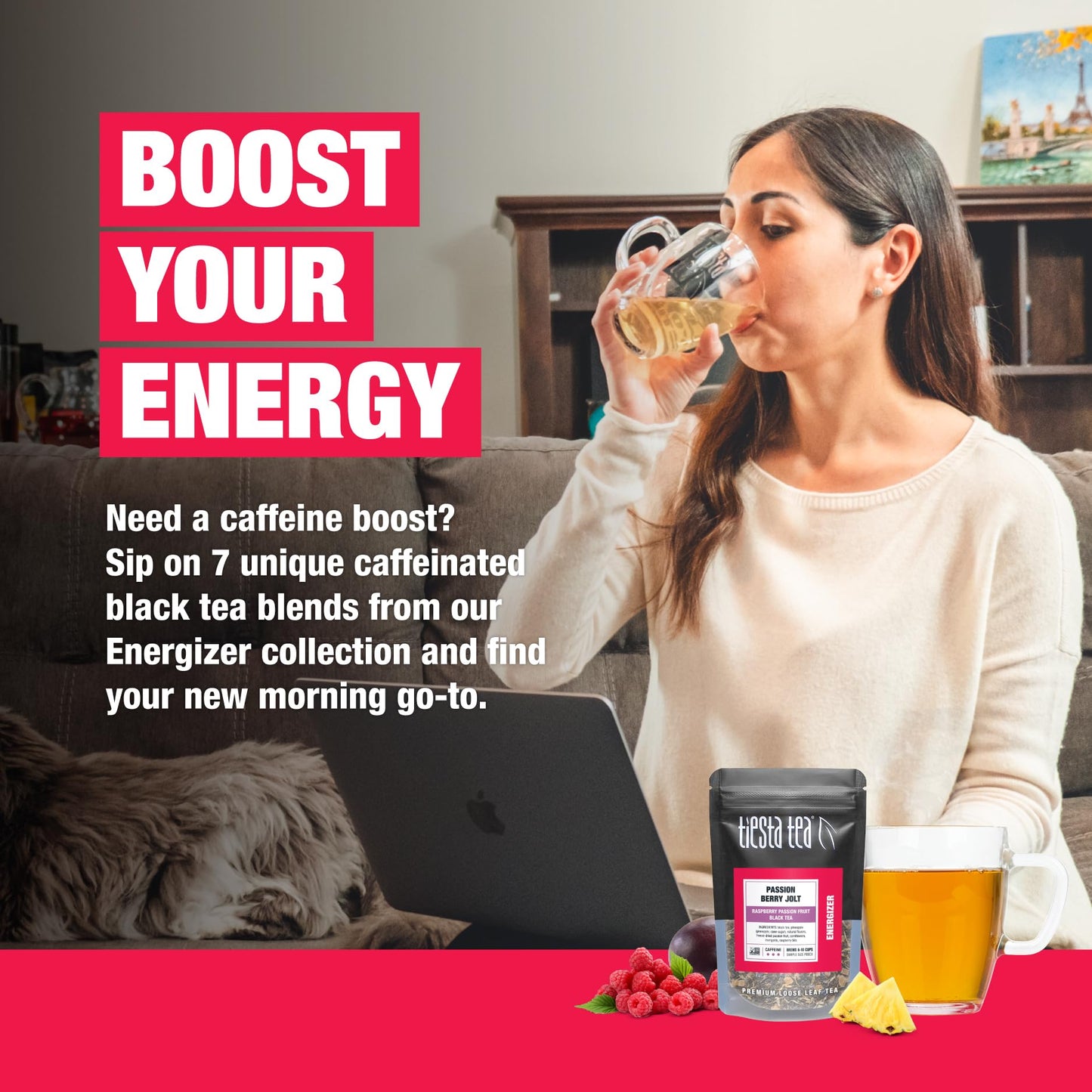 Tiesta Tea Energizer Tea Sampler Set - 7 Resealable Pouches, High Caffeine Hot & Iced Black Tea, Model 800022