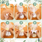 AceOrbit 50 Sets Wedding Almond Candy Favors for Guests Include Ring and Tulle Bag DIY Marzipan Souvenirs for Engagement Bridal