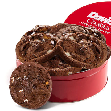 David'S Cookies Fresh Baked Decadent Jumbo Smores Cookies Gift Basket Tin - Flavorful Gourmet Cookies - Ideal Food Gift For Corp