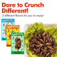 Jerky-n-Spice HotLix Crick-ettes Edible Bugs 3-Pack | Dried Crickets | Great for Exotic Snacks & Parties | 3 Flavors