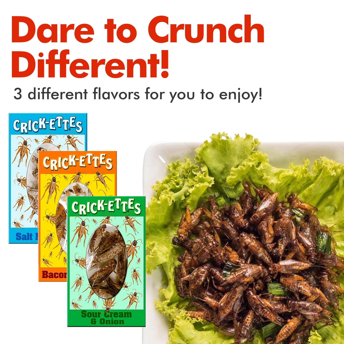 Jerky-n-Spice HotLix Crick-ettes Edible Bugs 3-Pack | Dried Crickets | Great for Exotic Snacks & Parties | 3 Flavors