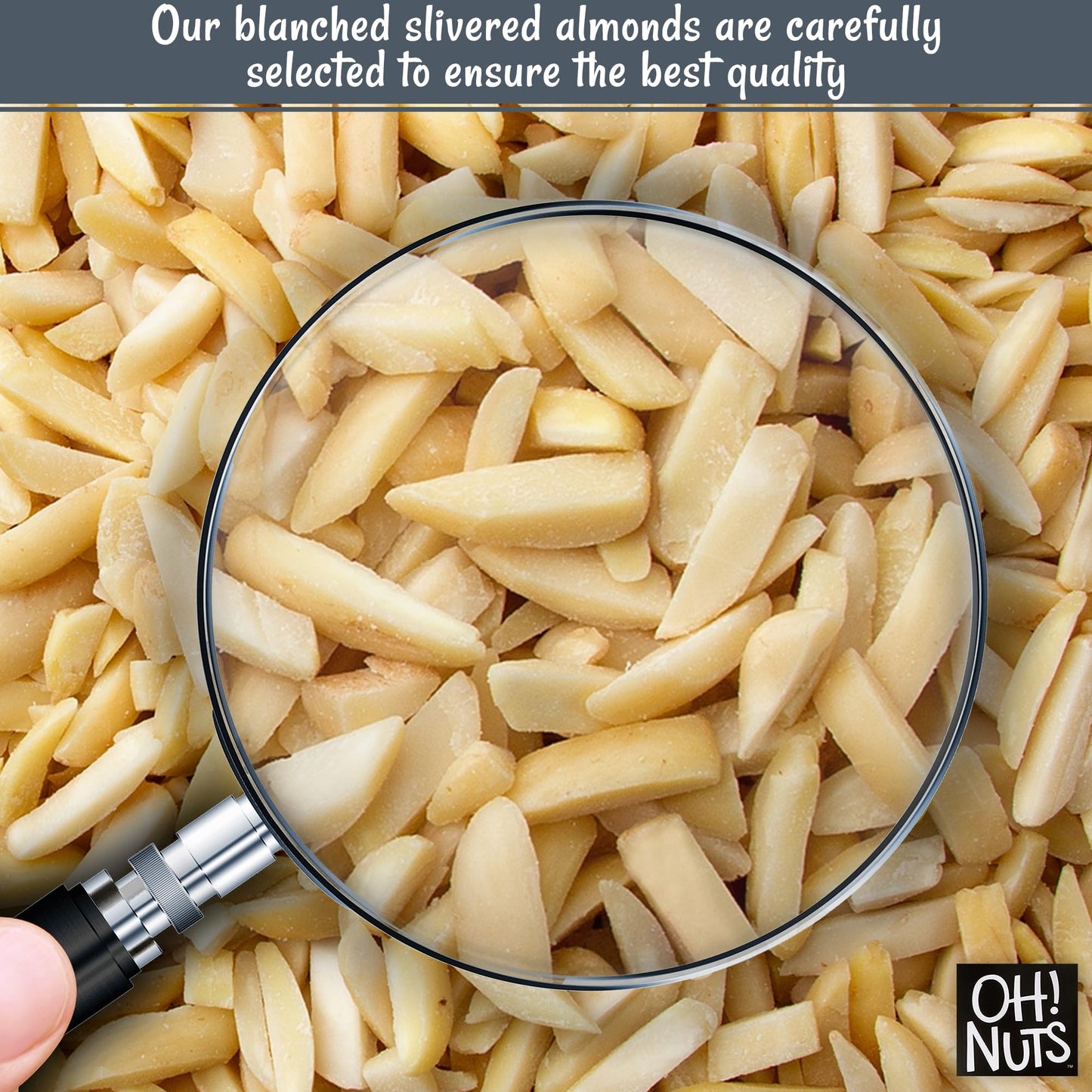 Oh! Nuts Blanched Slivered Almonds, Raw Unsalted, 24oz Bulk Bag, High Protein, Low Sodium, Dairy & Sugar Free