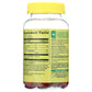 Spring Valley Apple Cider Vinegar Gummies, 500 mg, Great Apple Flavor, 60 Servings