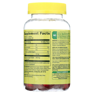 Spring Valley Apple Cider Vinegar Gummies, 500 mg, Great Apple Flavor, 60 Servings