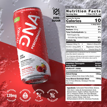 HYDRADNA Clean Performance Drink, Zero Sugar, 120 mg Organic Caffeine, Fruit Punch, 12 Fl Oz (Pack of 12)