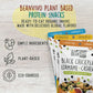 BeanVIVO Plant Based Protein Snacks - (7 Gram Protein) Sea Salt, Habanero BBQ & Dill Pickle with Dried Edamame, Roasted Cashew a