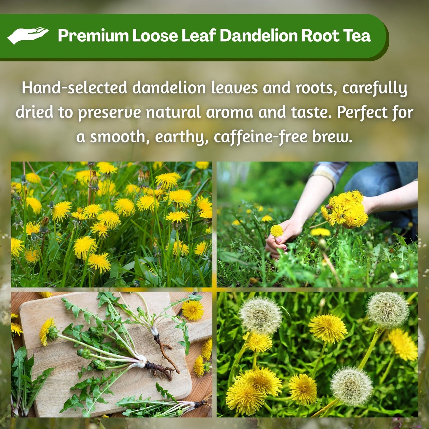 Hanan Dandelion Loose Leaf Herbal Tea - 1.1 oz (30 g) Dandelion Leaves from Peru