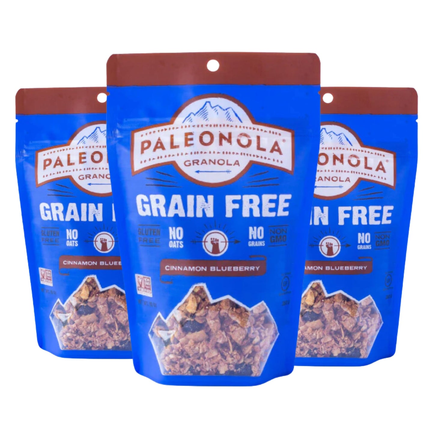 Paleonola Grain Free Granola | Gluten Free, Non-GMO, Dairy Free, No Refined Sugars, 10 Oz Bags (Cinnamon Blueberry, 3 Pack)