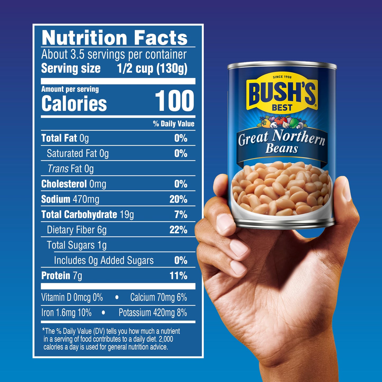 BUSH S BEST 15.8 oz Canned Great Northern Beans, Source of Plant Based Protein and Fiber, Low Fat, Gluten Free, (Pack of 12)
