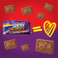 Wibisco Shirley Biscuits, Chocolate, 3.7 oz (Pack of 24)