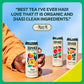 Zevia Organic Sugar Free Iced Tea, Black Tea Peach, 12 Ounce Cans (Pack Of 12)