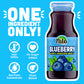 Nilo Blueberry Juice | 100% Squeezed Wild Blueberry Arandano | No Sugar Added | Non Gmo | Not From Concentrate | 8.45 Oz (Pack O