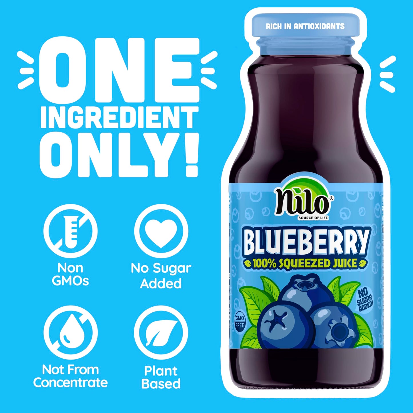 Nilo Blueberry Juice | 100% Squeezed Wild Blueberry Arandano | No Sugar Added | Non Gmo | Not From Concentrate | 8.45 Oz (Pack O