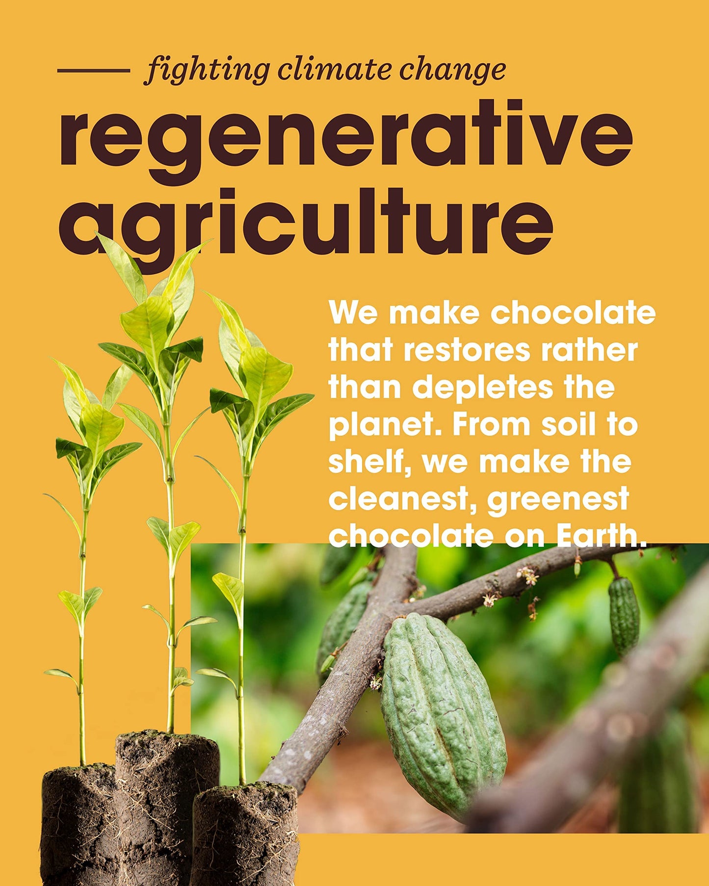 Alter Eco Salted Caramel Truffle Thins, Chocolate Bar with Gooey Ganache Truffle Filling, Organic, Gluten-Free, Non-GMO Snacks,