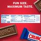 CRUNCH Milk Chocolate and Crisped Rice  Fun Size Candy Bars  12 Bags  10 oz Each Bag
