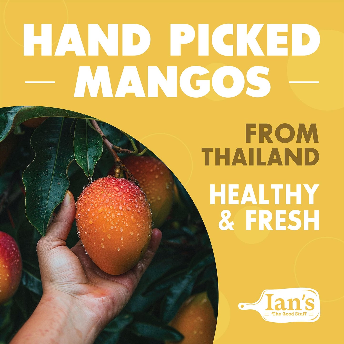 Ian'S Premium Dried Mango Slices (2Lbs) - Dry Mango Chunks - Healthy Dried Fruit Snacks For Adults & Kids - Dehydrated Mangoes B