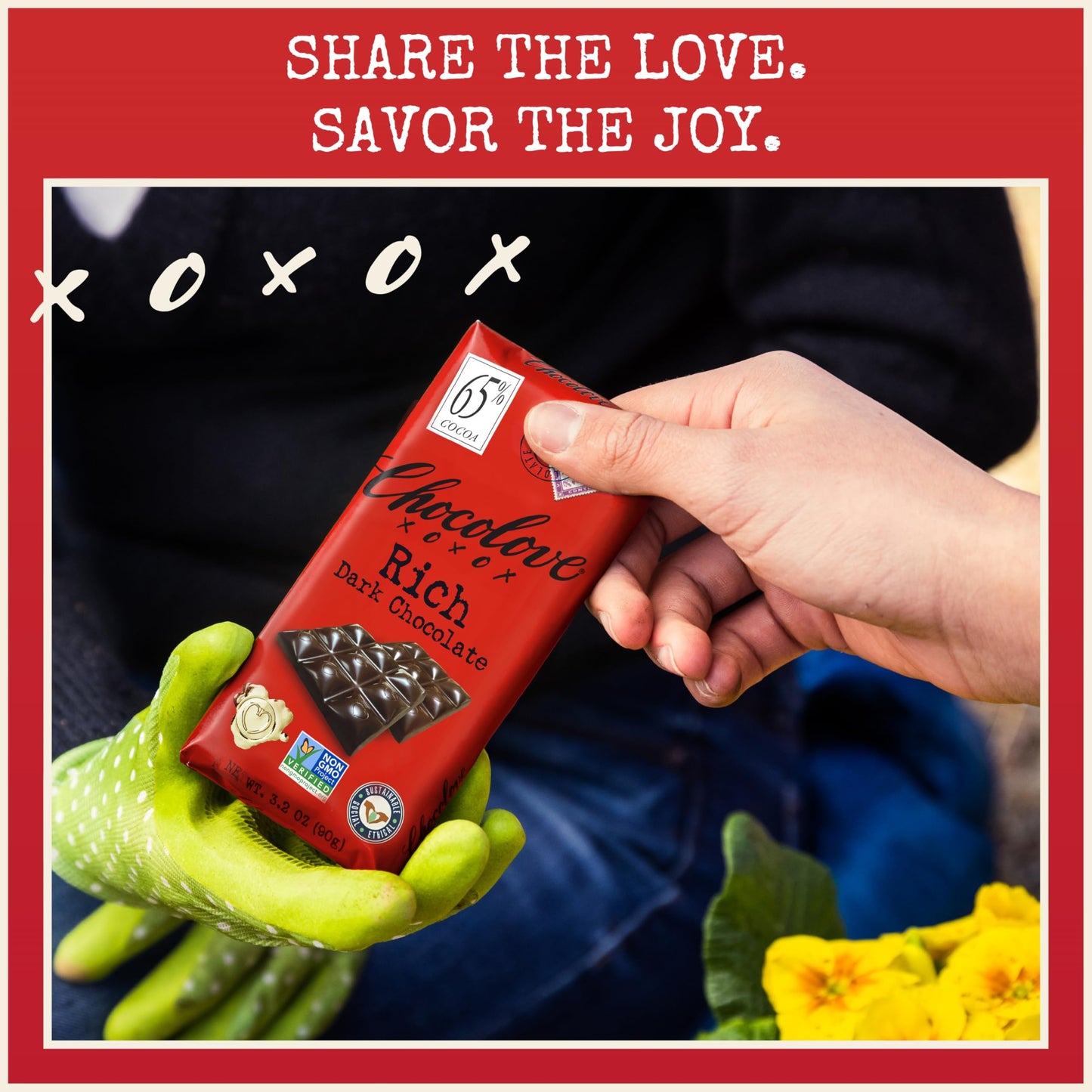 Chocolove Rich Dark Chocolate Bars | 65% Cocoa | Crafted With Semi-Sweet Belgian Chocolate| Non Gmo, Rainforest Alliance Certified, 3.2Oz Bar (12 Pack)