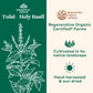 Organic India Tulsi Loose Leaf Herbal Tea - Immune Support, Vegan, Gluten-Free, 1 lb Bag