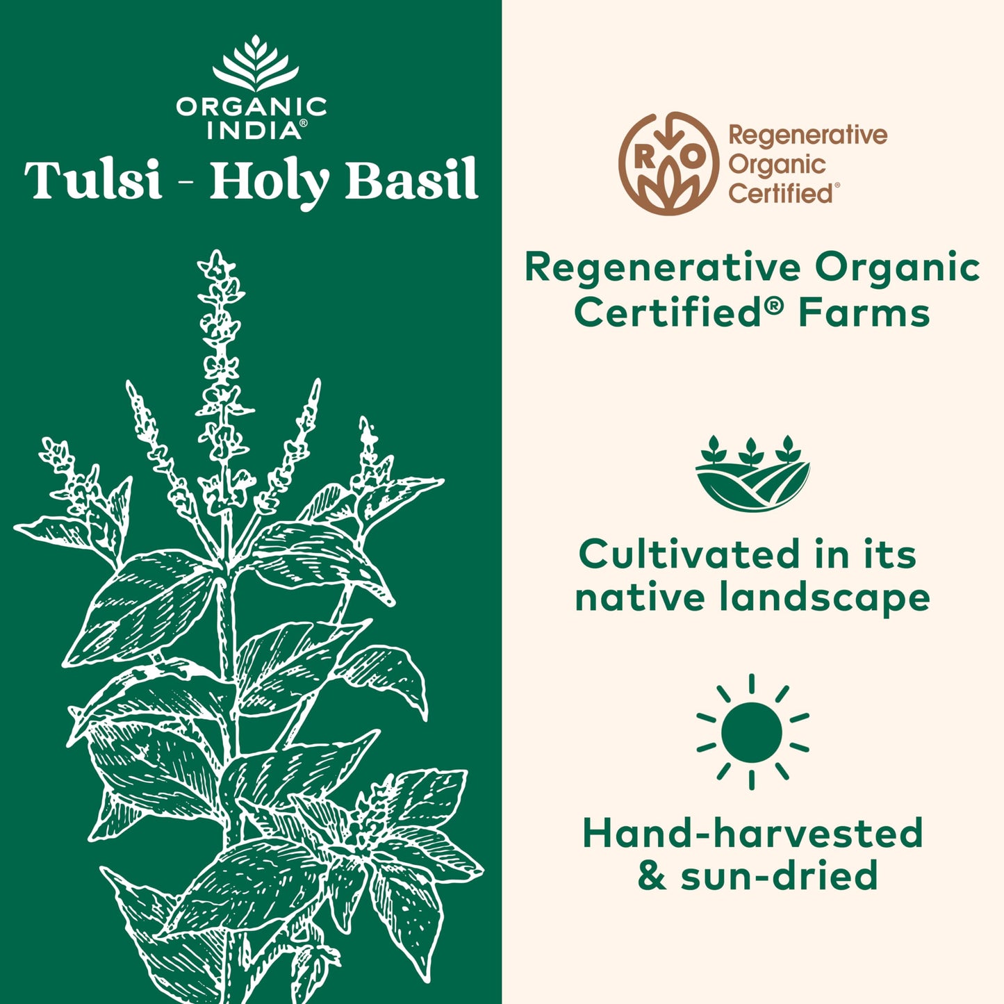 Organic India Tulsi Loose Leaf Herbal Tea - Immune Support, Vegan, Gluten-Free, 1 lb Bag