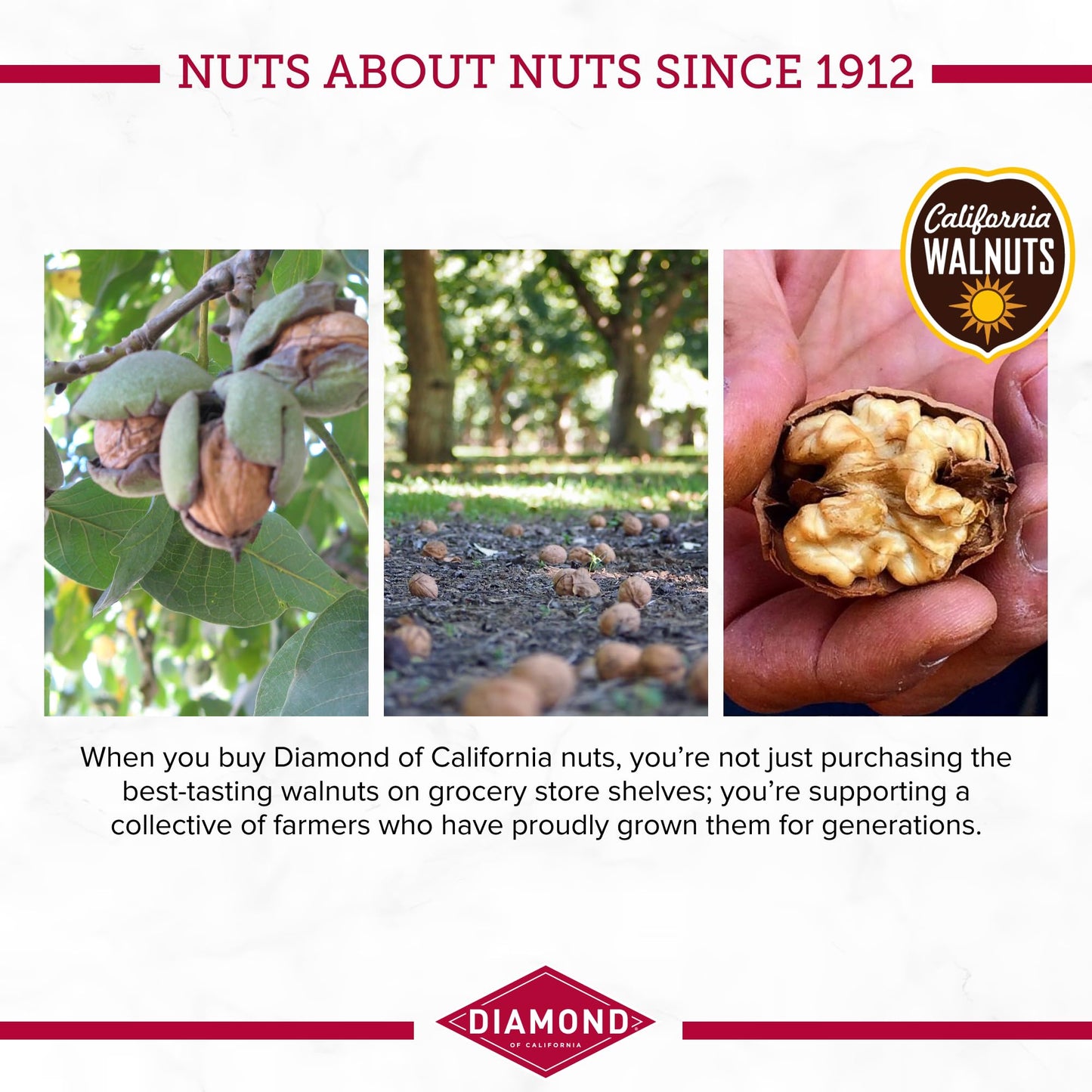 Diamond Of California Chopped Walnuts, 8 Oz - 6 Count