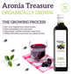 [Aronia Treasure] 100% Aronia Berry Juice: Rich In Antioxidants, Gluten-Free, Vegan, Not From Concentrate, Made From Premium Aro